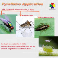 Insecticida de piretrina natural de plaguicidas botánicos al mejor precio